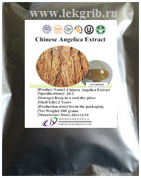 Дудник китайский (Angelica sinensis) Дягиль экстракт 20:1  100 грамм